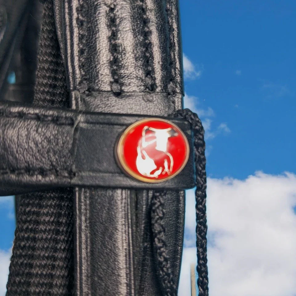 Kieffer Trensenzaum Ultrasoft - schwarz – Bild 3