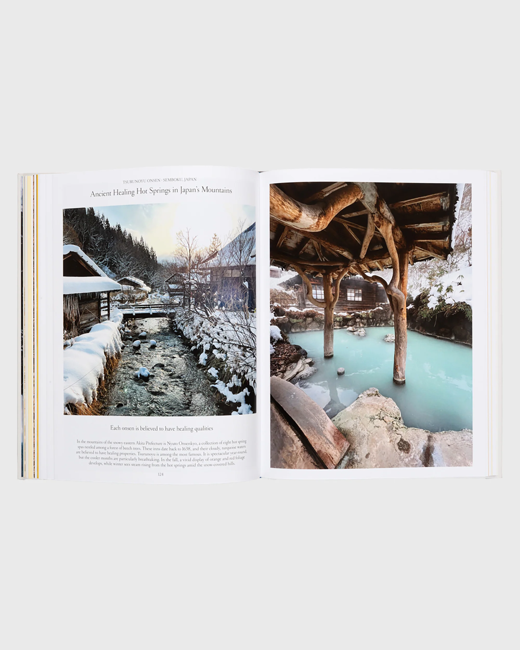 The Nature of Swimming – Bild 9