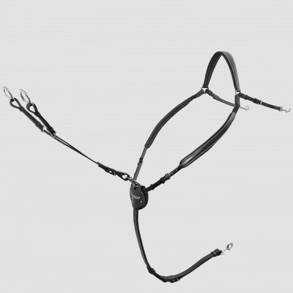 Passier Vorderzeug MARCUS EHNING mit abnehmbarer Martingalgabel – Bild 5