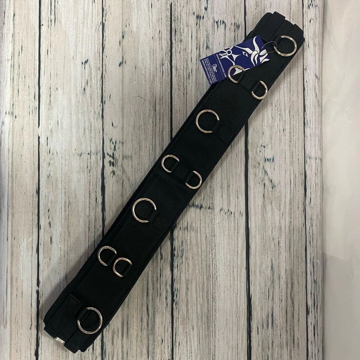 Longiergurt mit Neoprenfutter – Bild 3