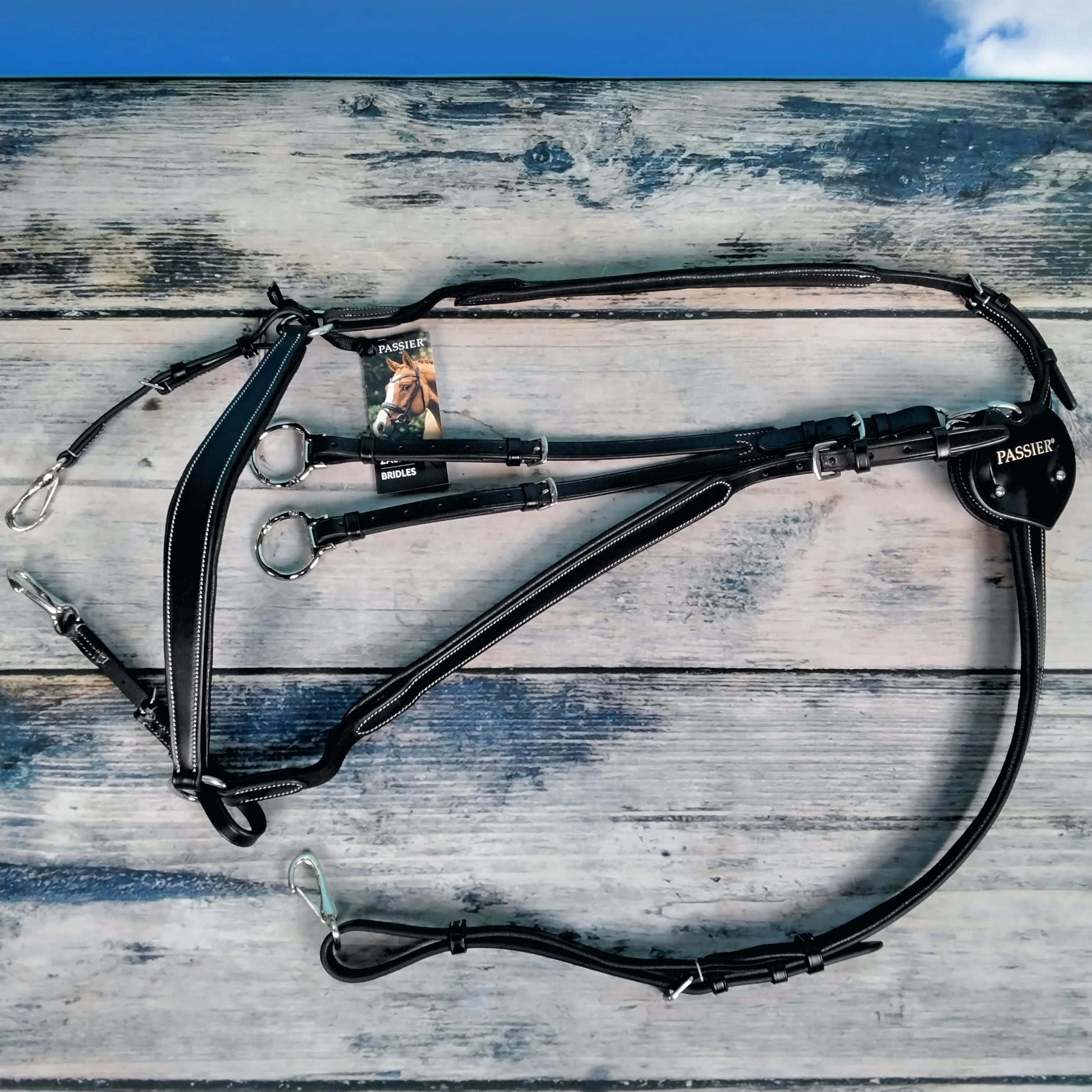 Passier Vorderzeug MARCUS EHNING mit abnehmbarer Martingalgabel