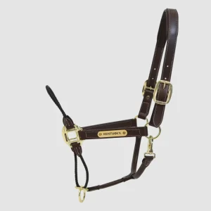 KENTUCKY Leder Halfter Rope