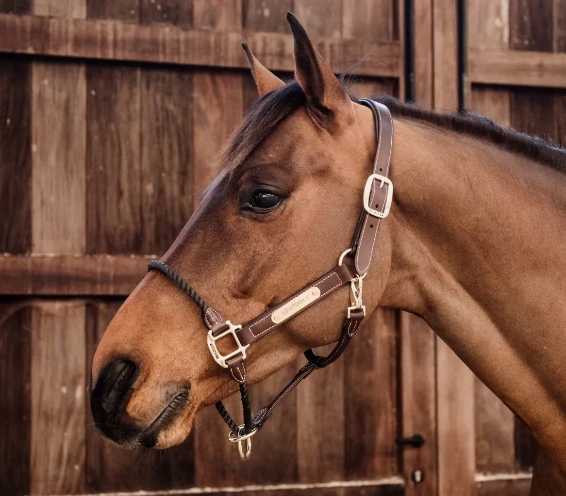 KENTUCKY Leder Halfter Rope – Bild 3