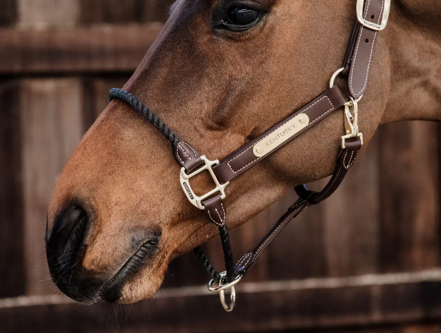 KENTUCKY Leder Halfter Rope – Bild 4